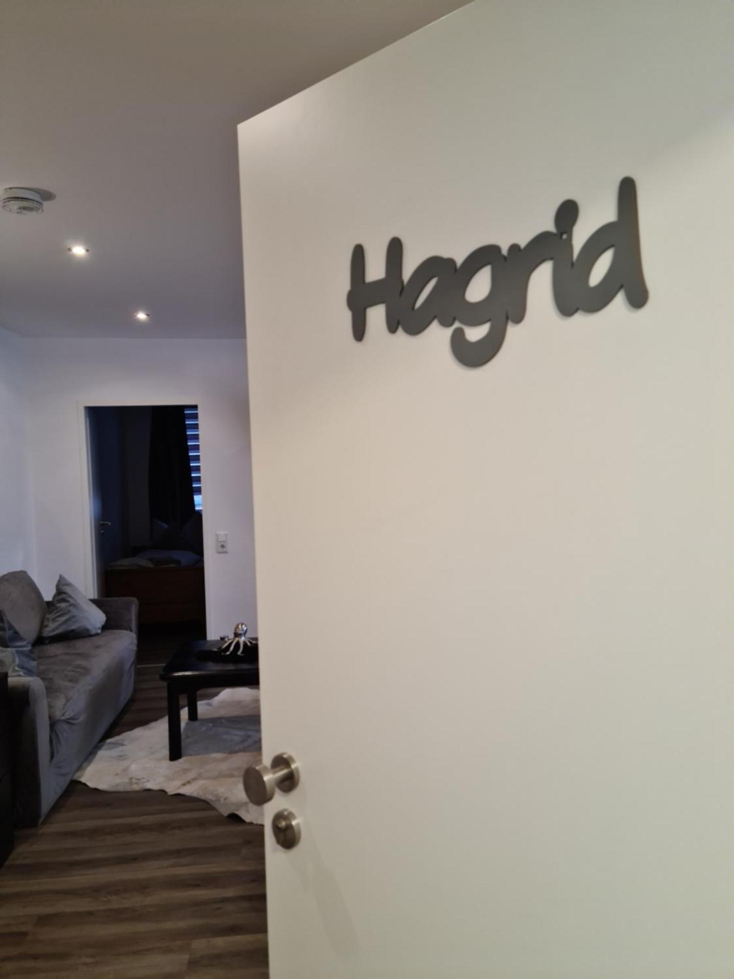 Pilgrims "Hagrid" 2 Sz, Balkon, Kueche, Bad, Top Wifi Brilon Esterno foto